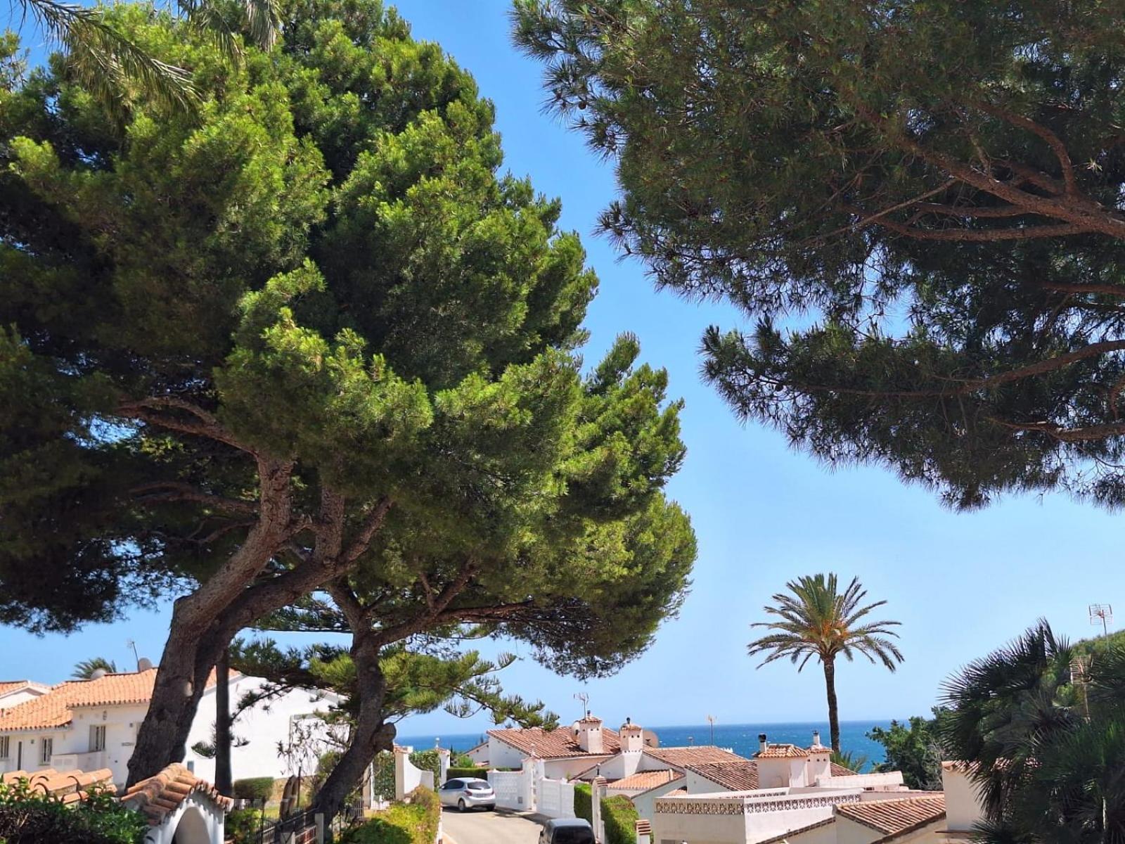 Apartmán La Casa Catharina Màlaga Exteriér fotografie