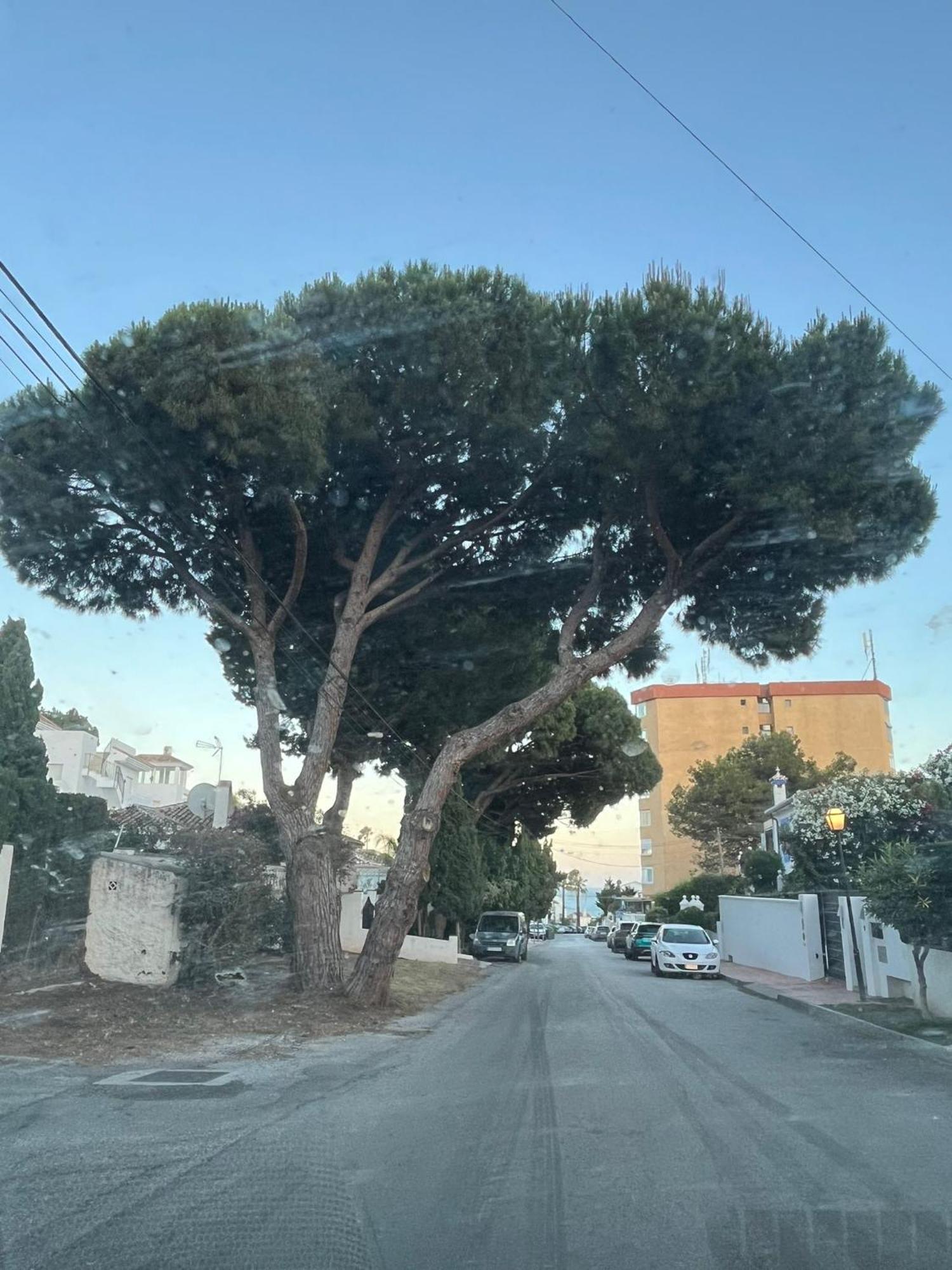Apartmán La Casa Catharina Màlaga Exteriér fotografie